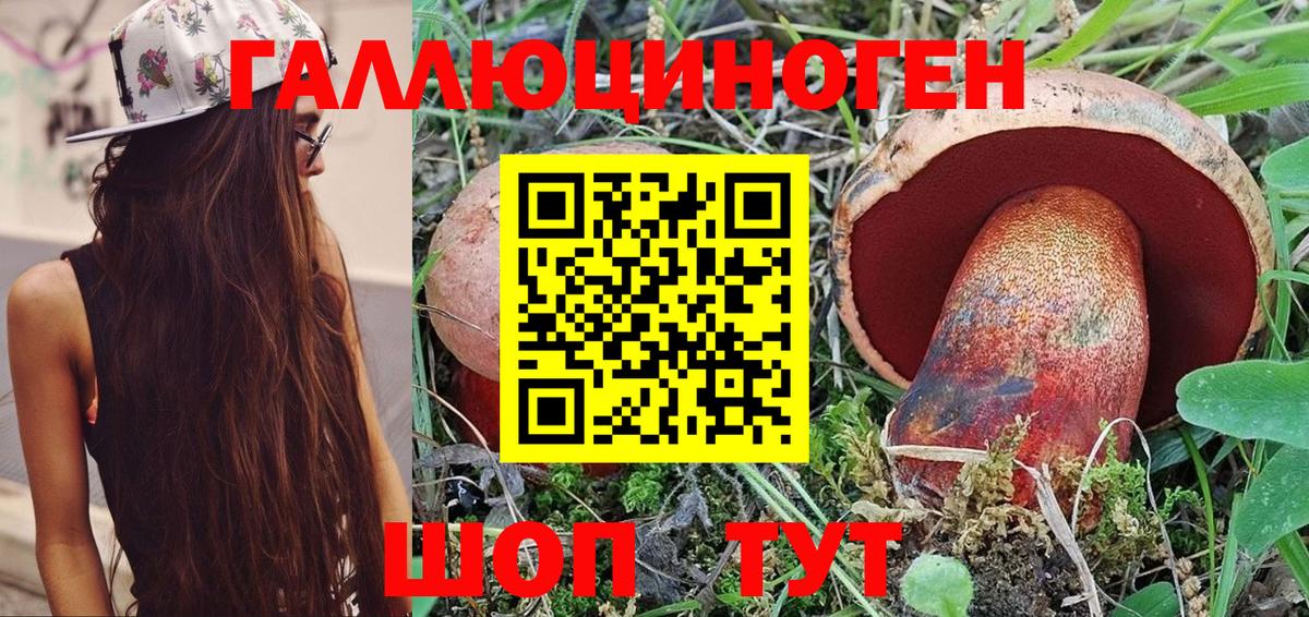 Псилоцибиновые грибы мицелий Чебаркуль