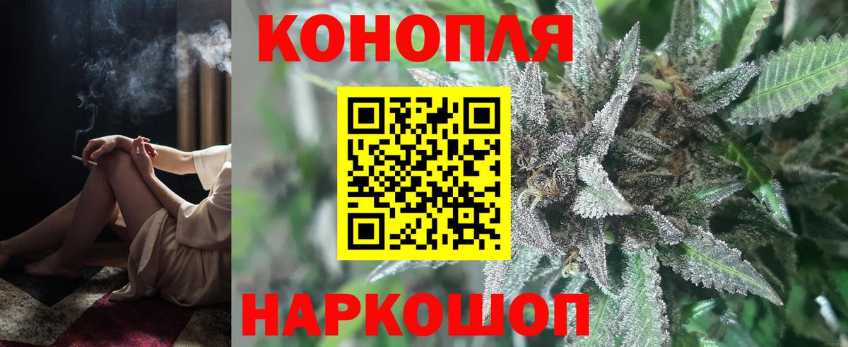 Каннабис сатива Чебаркуль